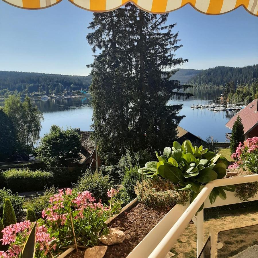 Sunside Ferien Wellness Oase Hotel Apartment'S Schwarzwald Am Schluchsee Dış mekan fotoğraf